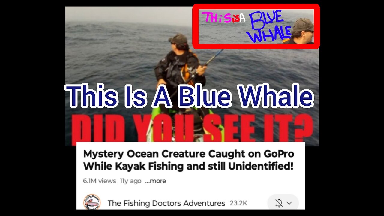 This Is A Blue Whale