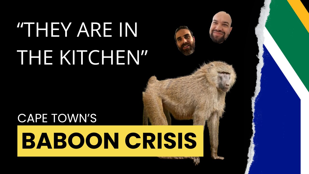Cape Town's Baboon Crisis: How Should We Respond?