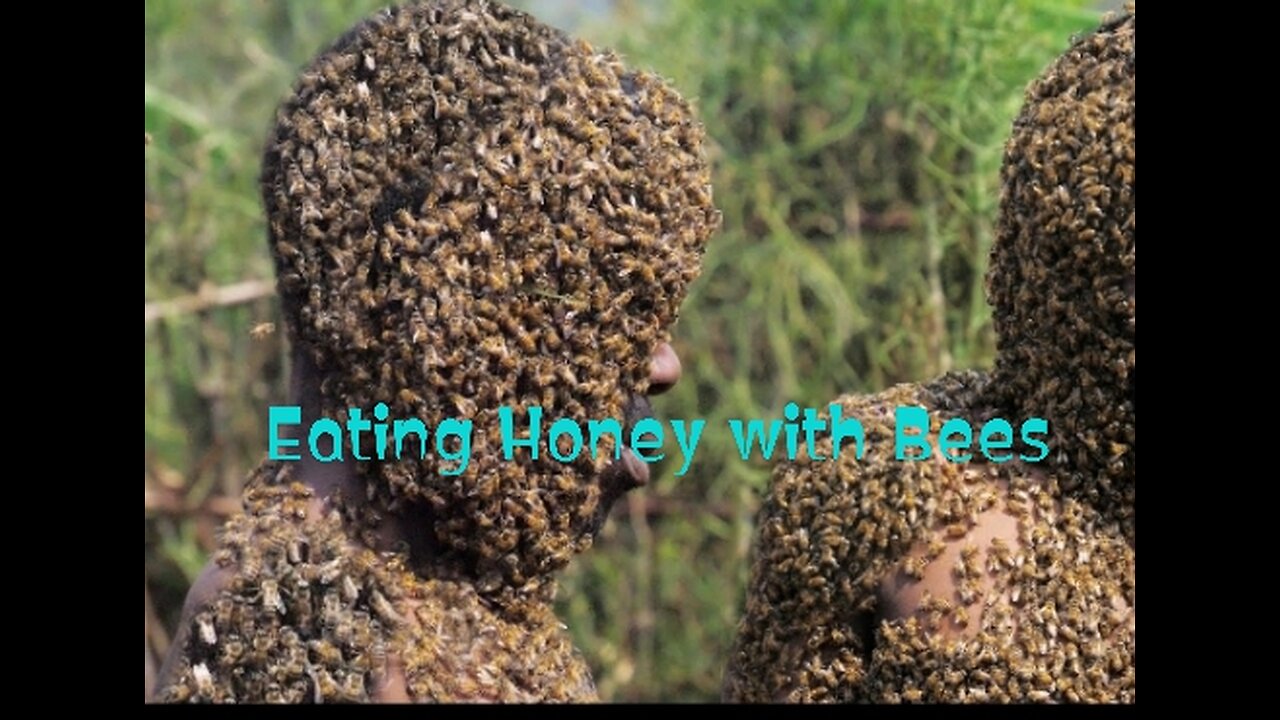 What happen when you Eat HONEY With BEES