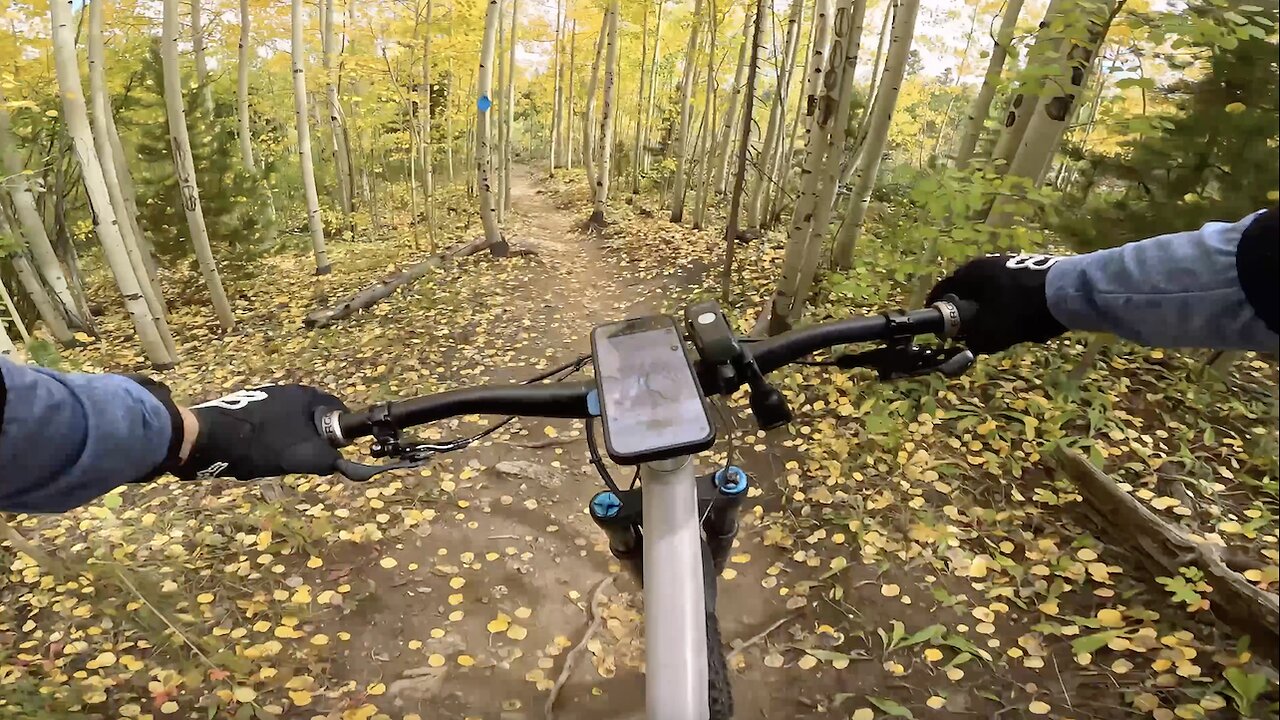 Aspen Alley (east) | West Magnolia | Nederland | Colorado