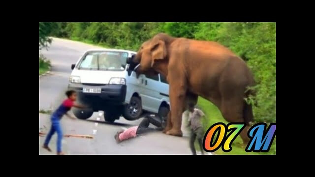 A heart stopping video😱😱