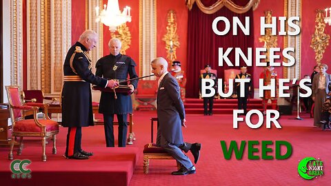 From London Decriminalization to Vatican Vibes: A Cannabis Conversation Across Continents