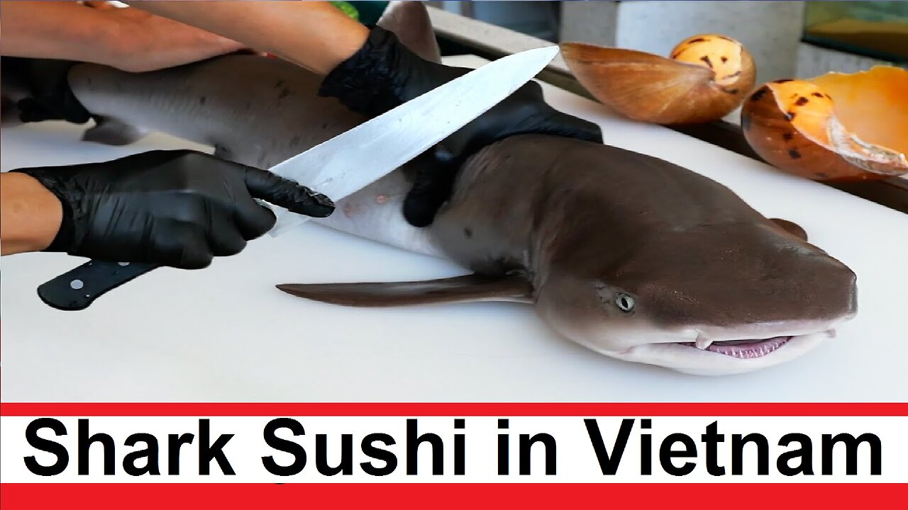 We make sushi out of sharks in Waves, the usual food on the streets