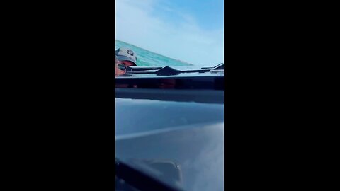 Livestream Highlight | Dolphin Uses Sonic Pitch To Knock Us Off Sea-Doo Lol!