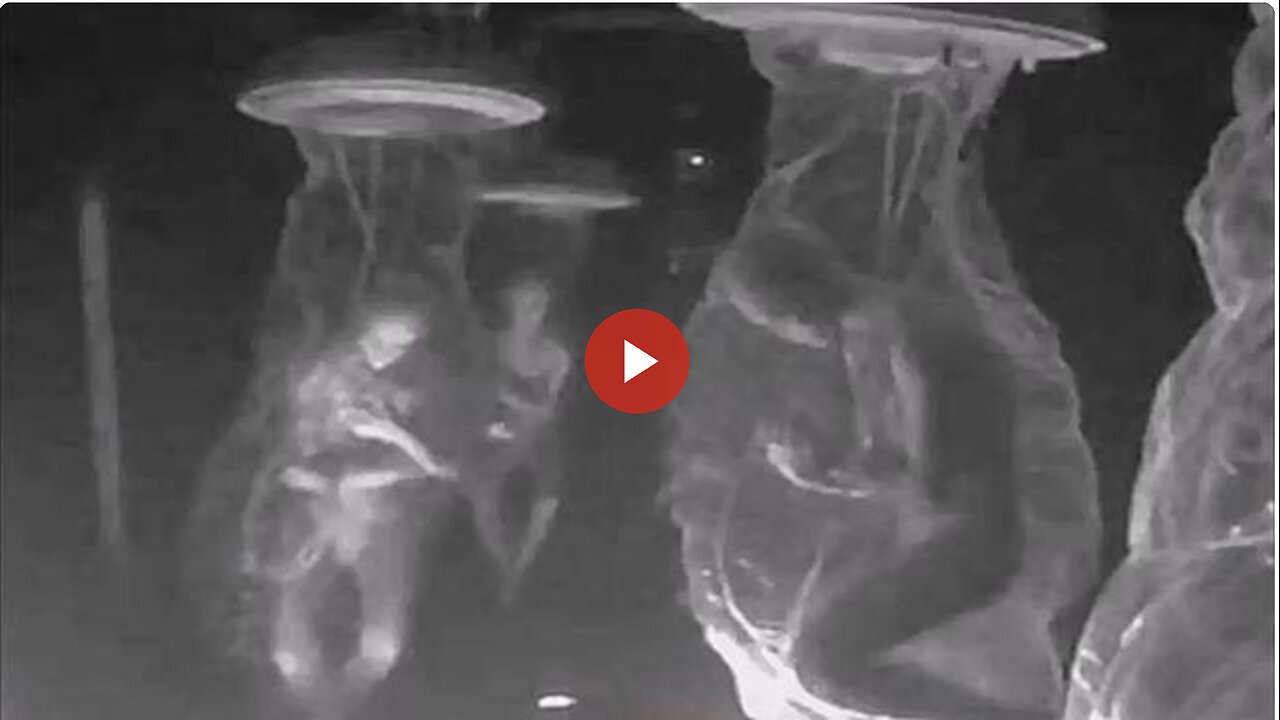 THE CLONING CENTERS: DEAD FAMOUS CELEBRITIES AND HELL ON EARTH