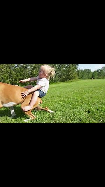 🐾👶 Dog and Baby: “Come On! Show Your Move, Friend!”