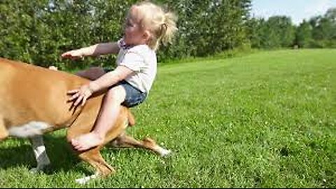 🐾👶 Dog and Baby: “Come On! Show Your Move, Friend!”