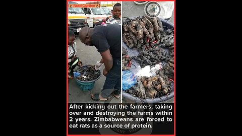 Why are White people hated..? That's a rhetorical question... - Chaplain Bob