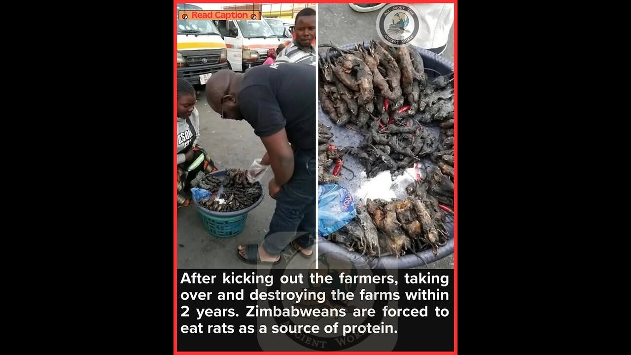 Why are White people hated..? That's a rhetorical question... - Chaplain Bob