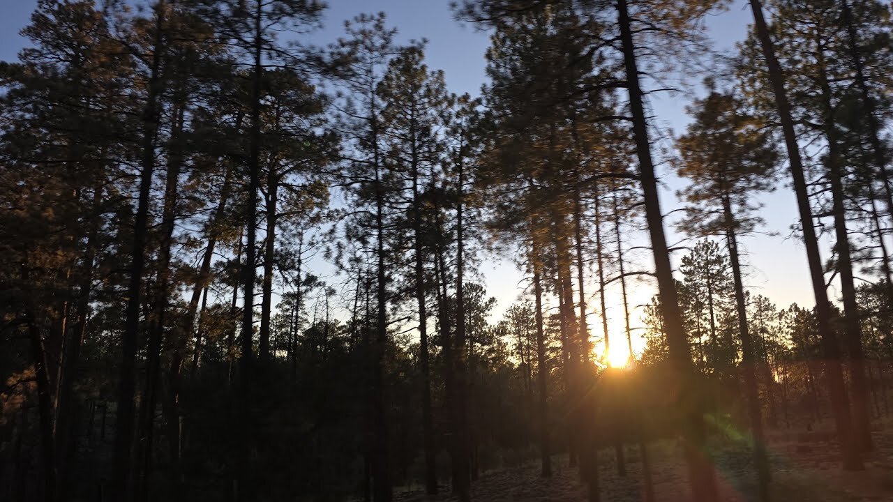 We Have Received The Same Name And Language That Adam Was Given!