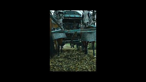 # Movie 🎥 clips videos
