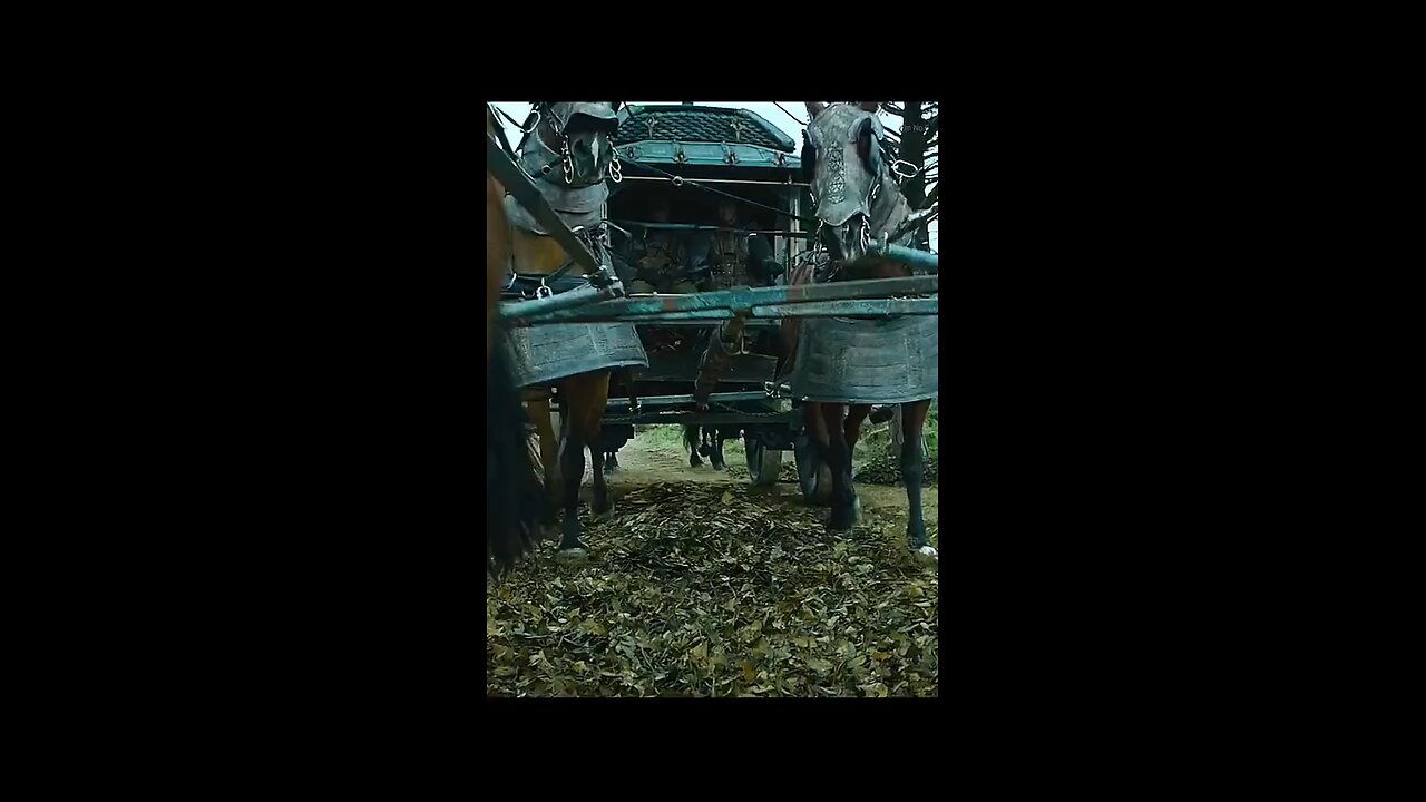 # Movie 🎥 clips videos