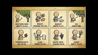 Every Sacred Seed in the Bible That Actually Heals Explained (Video)