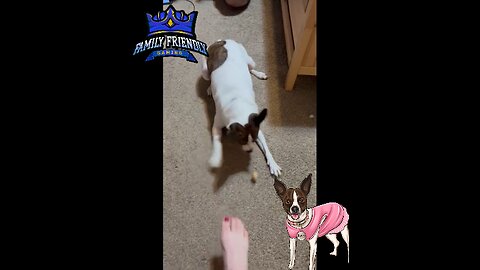 Munchy Bone Bites Princess