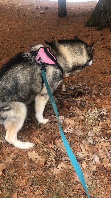 Saturday March 15, Do you question what I do?