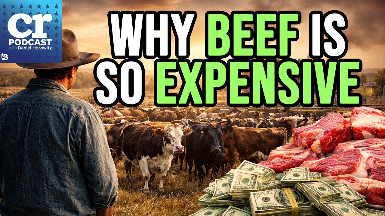 Why is Beef So Expensive?