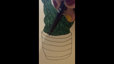 Cactus design art video