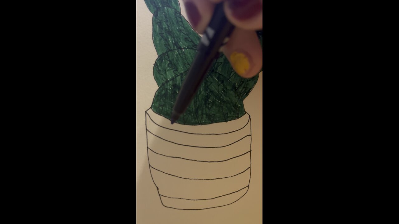 Cactus design art video
