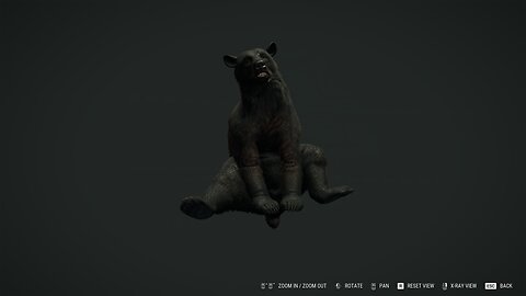 Introducing the .300 Mag Hunter!