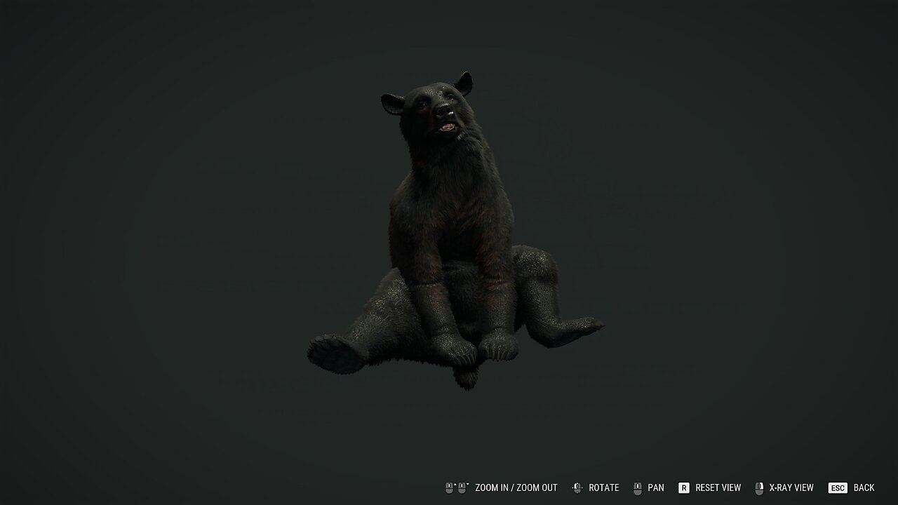 Introducing the .300 Mag Hunter!