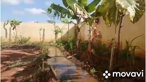 Mini Dam At Home Garden | Trending Politics news Debate Funny Entertainment Trump Elon Musk Ukraine
