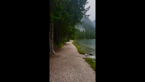 this and no stress 🌲 🌧 🗻