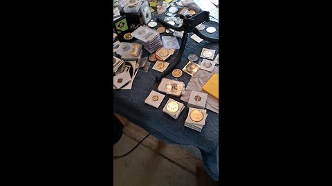 auctions gonna start soon.