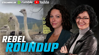 Ostrich cull confirmed, UN climate summit underway, More floor-crossing rumours | Rebel Roundup