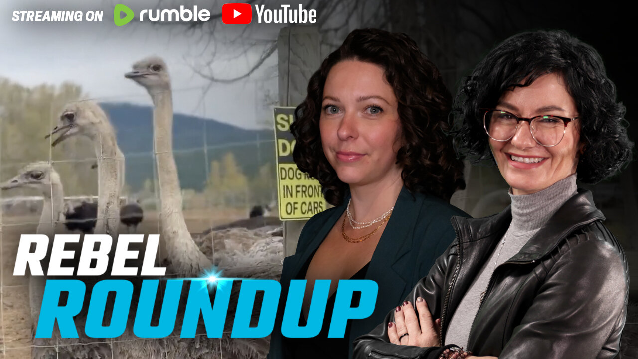 Ostrich cull confirmed, UN climate summit underway, More floor-crossing rumours | Rebel Roundup