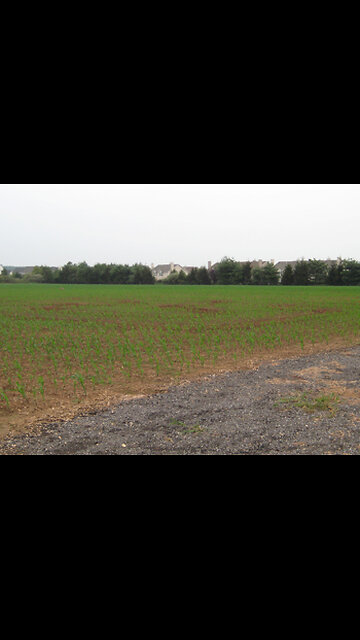 Protecting farms from crop damage - www.geesebusters.com