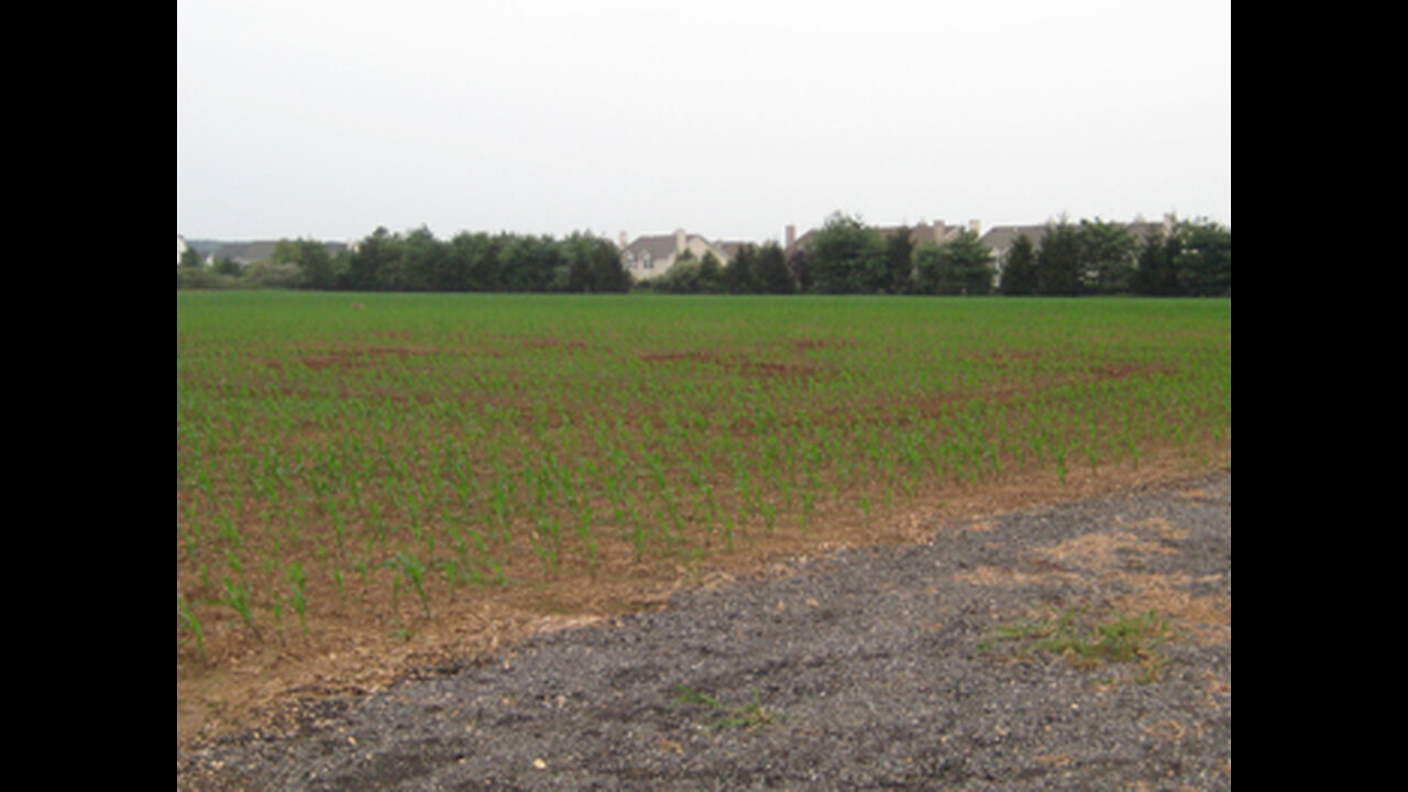 Protecting farms from crop damage - www.geesebusters.com