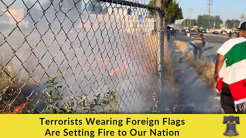 Terrorists Wearing Foreign Flags Are Setting Fire to Our Nation