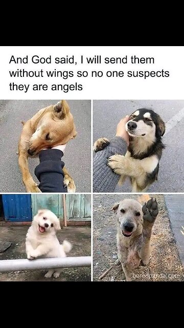 G'night fam. Taking a family day tomorrow because He has risen.