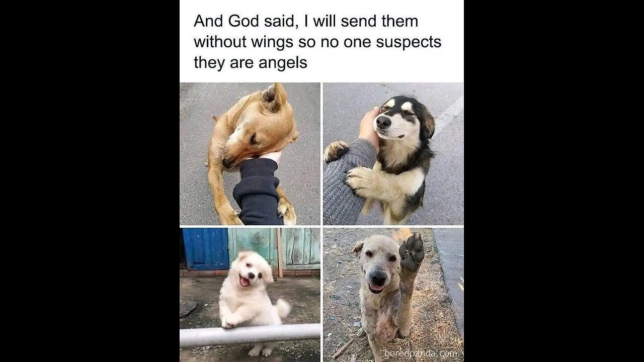 G'night fam. Taking a family day tomorrow because He has risen.