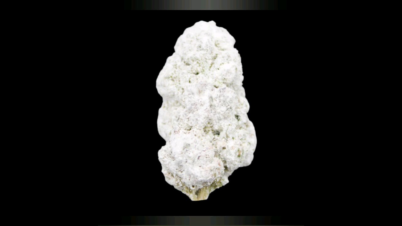 Thca King discount code: CPORT 💸