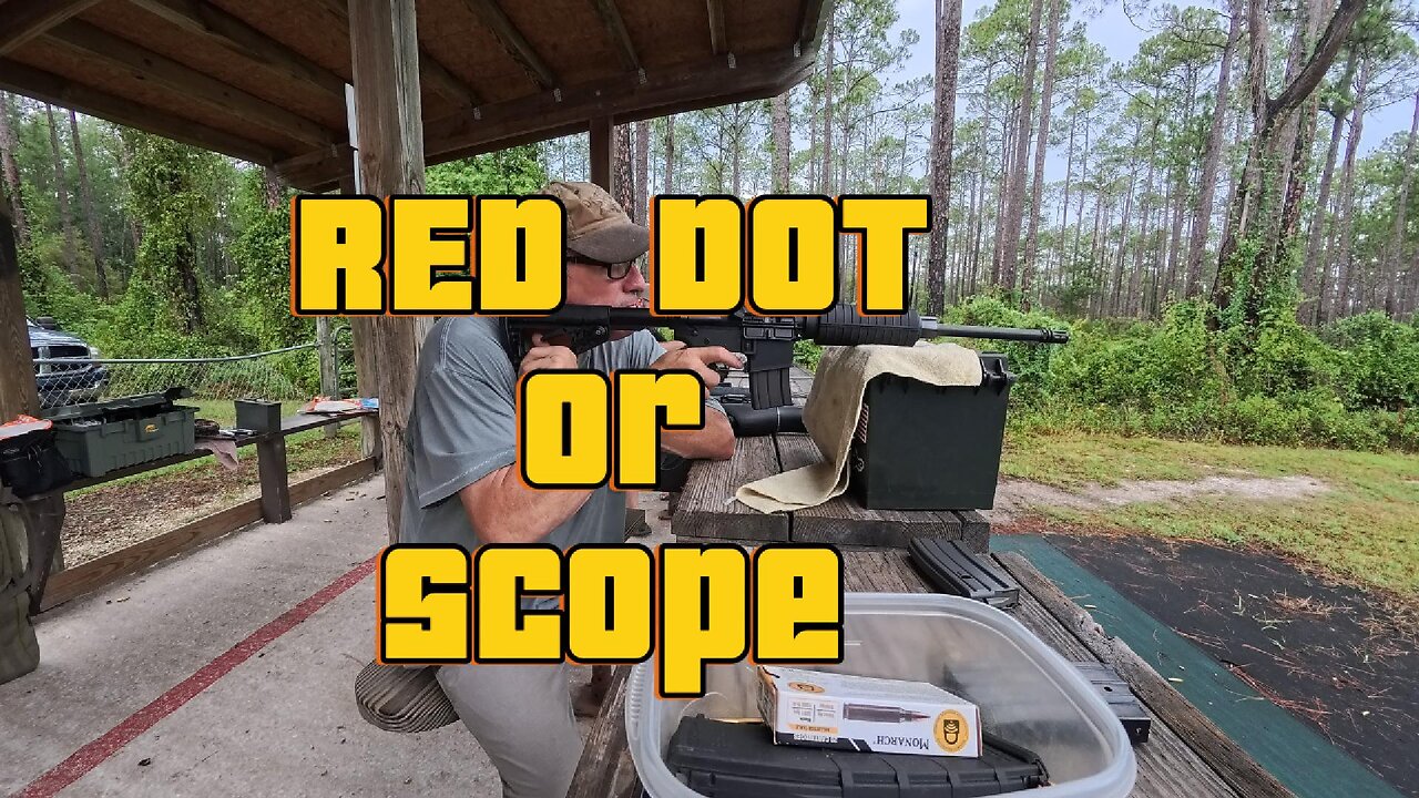 Red Dot or Scope