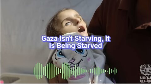 Caitlin Johnstone ~ Gaza isn't Starving | It's being Starved..