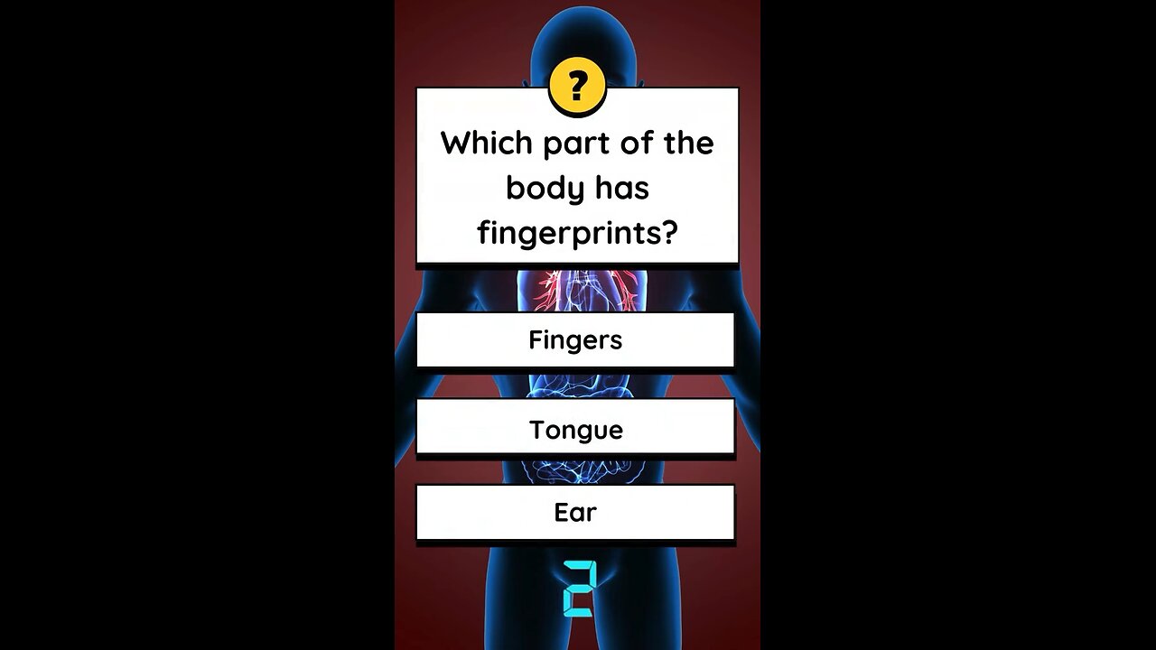 Anatomy Quiz!