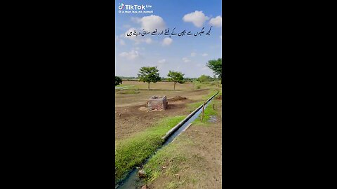 nature 🍄‍🟫 love