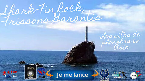 🌸 Plongée à Shark Fin Rock a Samae San, Frissons Garantis et Biodiversité Étonnante