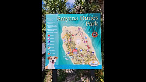 Smyrna Dunes Park: A Walk on the Wild Side