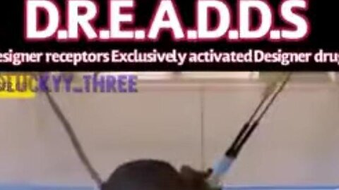 "Unlocking the Secrets: An In-depth Exploration of D.R.E.A.D.D.S Killuminati13420"