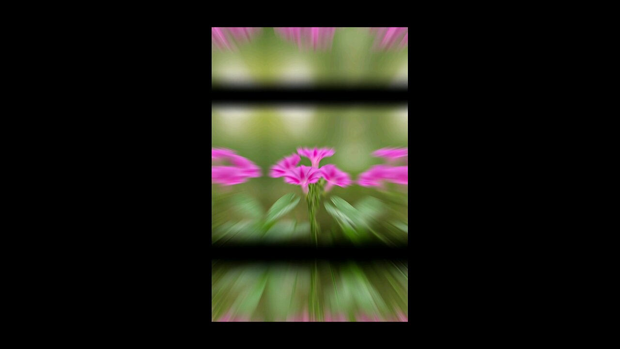 0:08