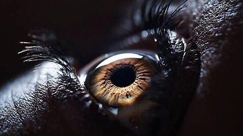 Must See and Share : Take A Good Hard Look Around