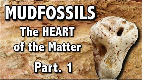 [Jun 17, 2019] MUDFOSSILS - The HEART of the Matter - Part 1 [Stellium7]