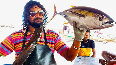 Tuna Fish Cutting Skill Sri Lanka