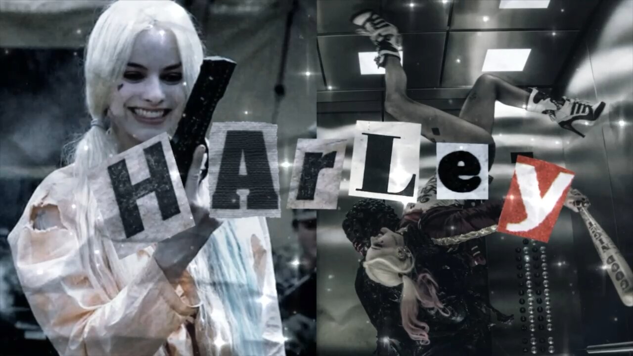 •̩̩͙✩•̩̩͙˚୨୧ harley quinn ଓ ⊹₊ ⋆