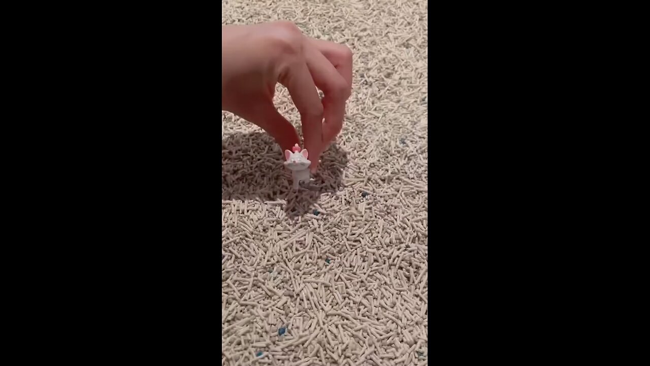 #AnimalsOfRumble #FunnyAnimals #CutePets #PetVideos #AnimalLovers #AnimalsDoingThings