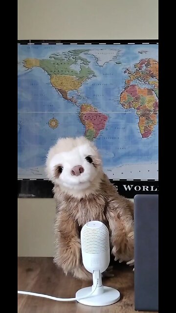 Zelenski Is Getting Nervous