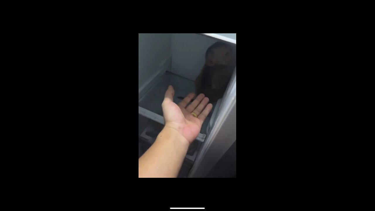 baby monkey sulks at owner and hides in refrigerator